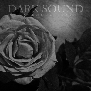 Pigfarm Recordings - Dark Sound - Dark Sound