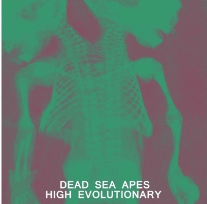 Dead Sea Apes