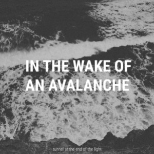 In the Wake of an Avalanche